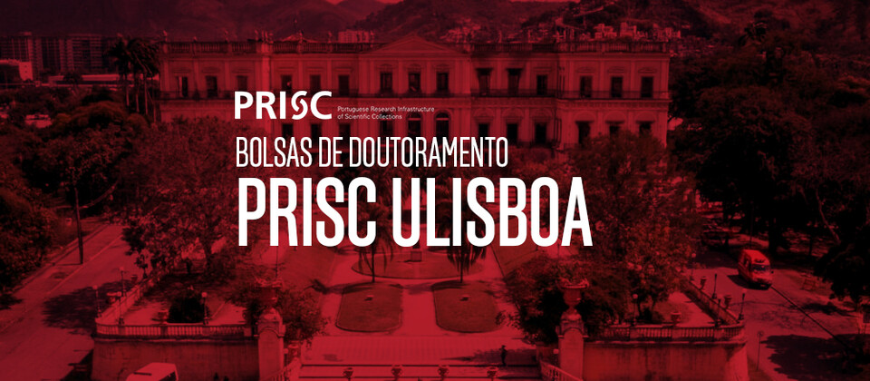 Bolsas de Doutoramento PRISC ULisboa